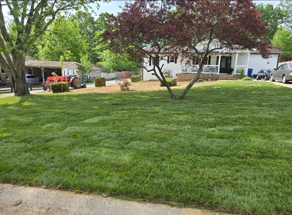 Fresh sod installation across a residential front lawn by Luxury Lawns